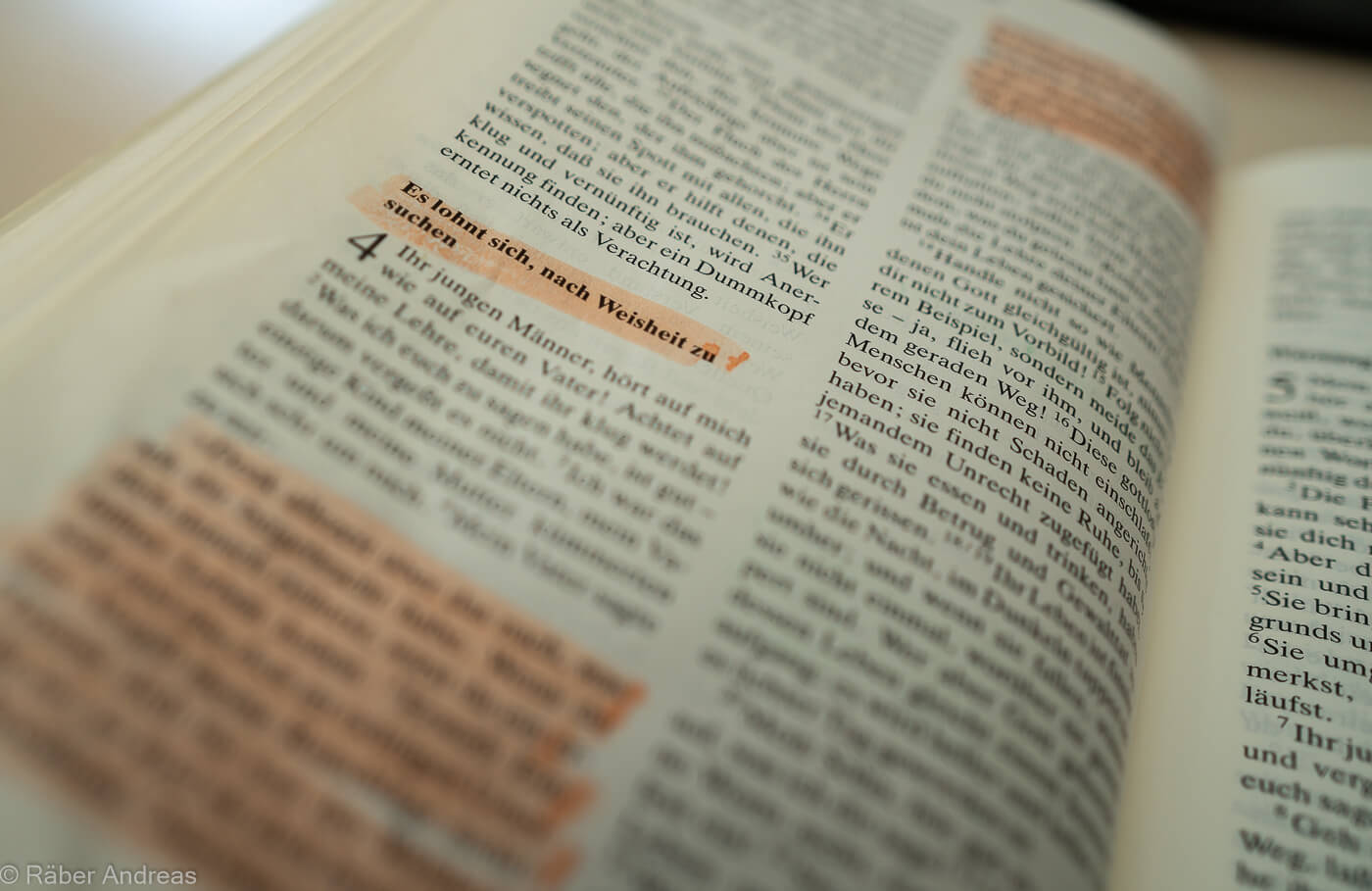 Die Bibel: Weisheit aus mehreren Tausend Jahren