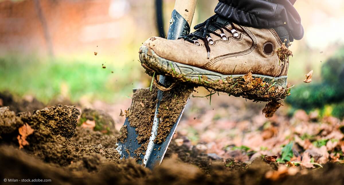 Gartenprojekt selbst anpacken oder einen Gartenbauer engagieren