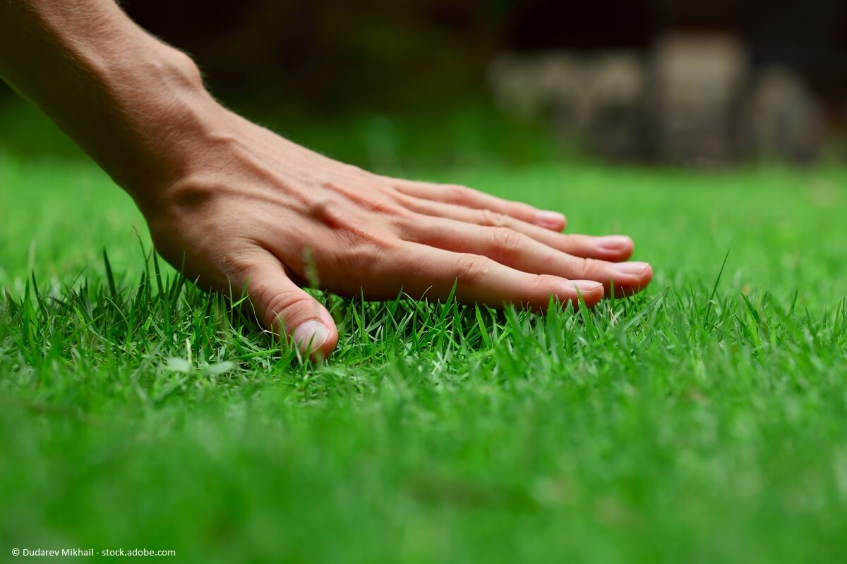 Professionelle Rasenpflege durch den Gartenbauer